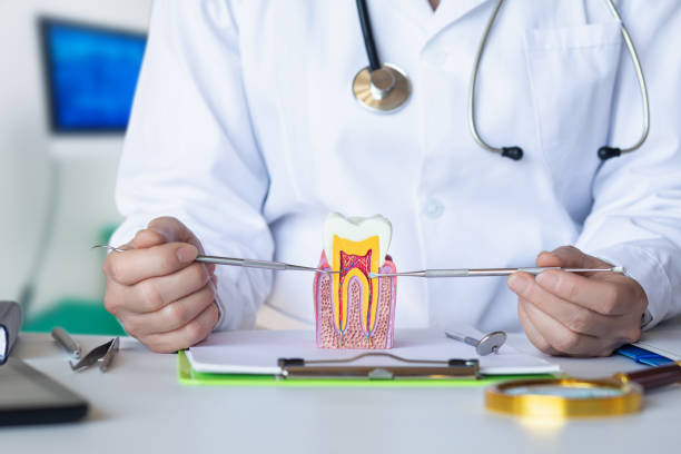 Best Emergency Treatment for Toothache in Rigby, ID